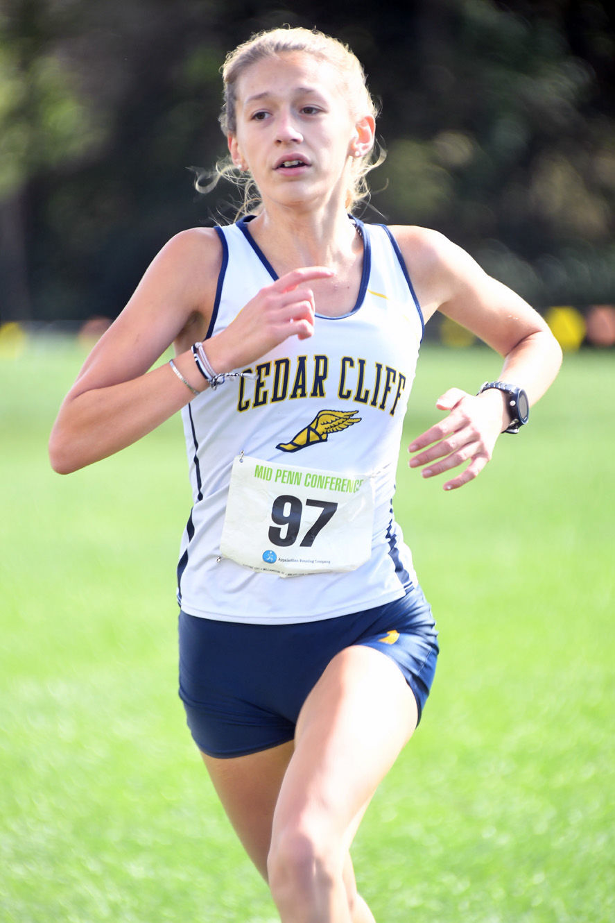 Mid Penn Cross Country